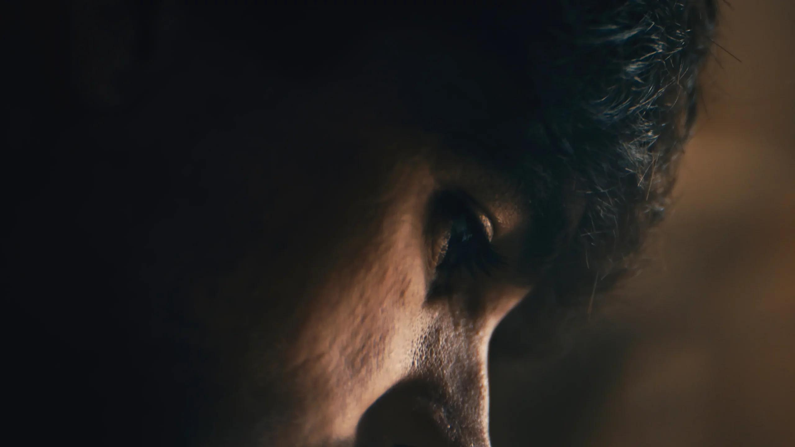 Maquette architecturale Atelier PLD illustrant la réflexion autour du paysage urbain et des volumes bâtis