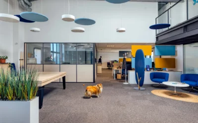 Création de bureaux à Beaucouzé – Réhabilitation et extension de locaux industriels