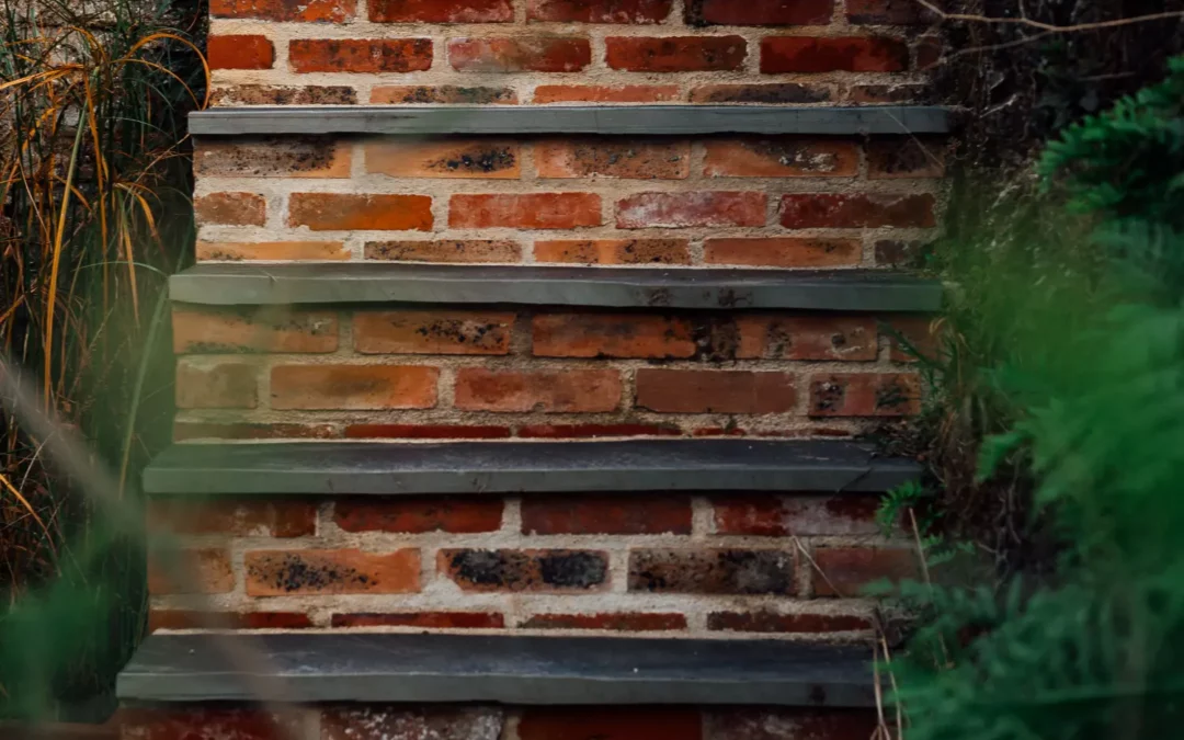 La brique comme matière vivante